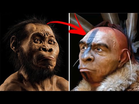 Miért halt ki minden ősember a Homo Sapiens-en kívül?
