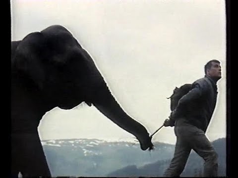 Hannibal Brooks(1969)teljes film magyarul, háborús, akció, kaland