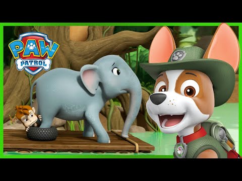 Egy riadt elefánt megmentése – Mancs Őrjárat – PAW Patrol epizód Magyar rajzfilmek gyerekeknek