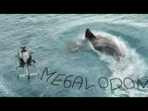 Megalodon – A gyilkos cápa | teljes film magyarul