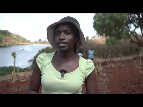 Establishing a Syntropic Agroforestry Garden at a Children’s Home in Nairobi