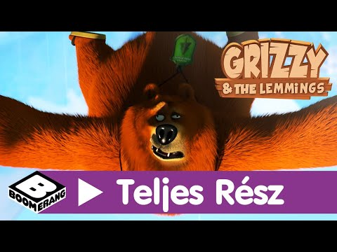 Grizzy és a lemmingek | Súlytalan medve (teljes rész) | Cartoonito