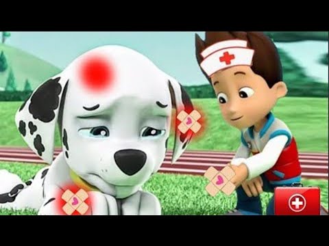 Paw Patrol Miss Polly Had a Dolly Kids Song | Leah Pretend Play Sing Along