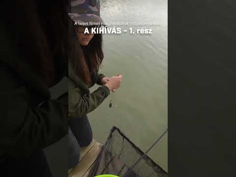 Biztos kipiszkálta a horgot😅🎣