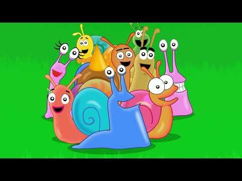 Buborék együttes – Csigabiga boogie (Hivatalos videoklip) 2022