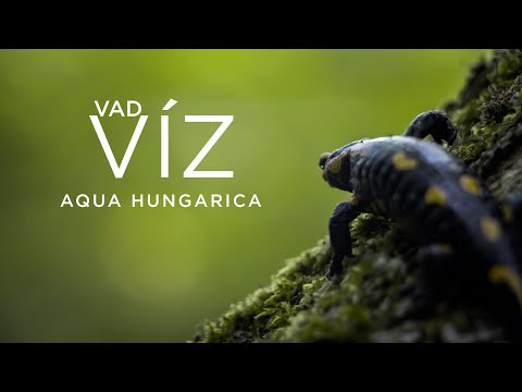 VAD VÍZ: AQUA HUNGARICA | Magyar természetfilm, 2021