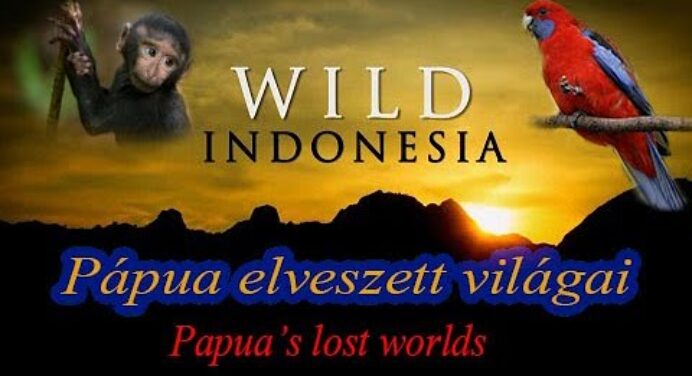 Vad Indonézia (1-rész) - Pápua elveszett világai