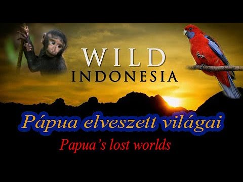 Vad Indonézia (1-rész) – Pápua elveszett világai
