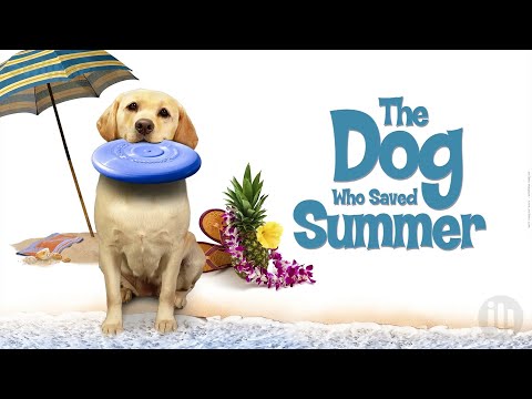 A kutya aki megmentette a nyarat 💙 Családi vígjáték