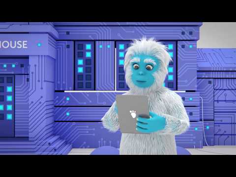 Watch Yeti find his ideal web hosting service with Namecheap