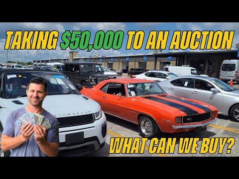 Are Cars Cheaper at Dealer Auctions in Florida? – Flying Wheels