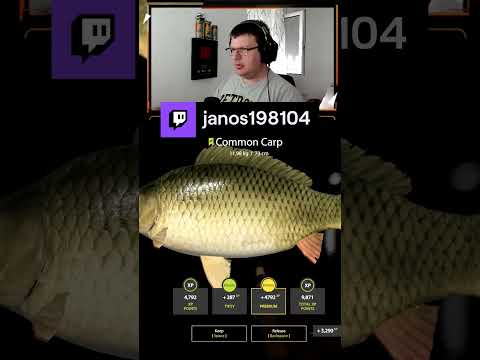 🎣RF4🎣The Amber Lake horgászat🎣#72 (Magyar / PC)🎣Road to 26. Level🎣 | janos198104 – #Twitch