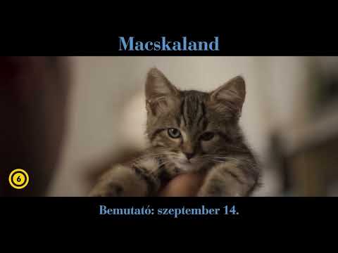Macskaland | Szeptember 14-től a mozikban!