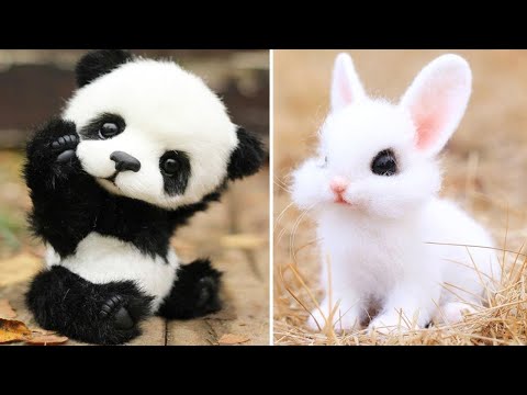 Cute baby animals Videos Compilation cute moment of the animals – Cutest Animals #41