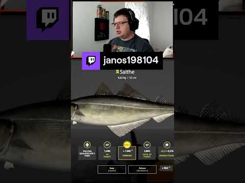 🎣RF4🎣Tengeri horgászat próbálkozás🎣#89 (Magyar / PC)🎣Road to 32. Level🎣 | janos198104 – #Twitch