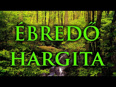 2 Óra Relax a Természet Hangjaival ★ Ébredő Hargita