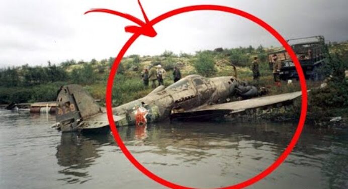 Egy férfi talált egy elhagyott repülőgépet, és úgy döntött megnézi közelebbről