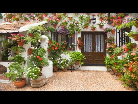 House and Garden – Cool Landscaping Ideas