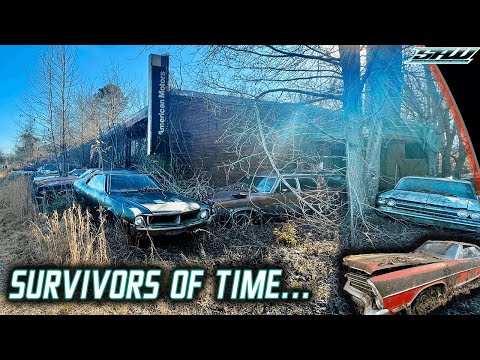 American Time Capsule: Abandoned Dealership Collier Motors AMC Has 200+ Classic Cars! (FULL TOUR)
