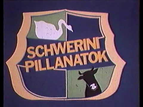 Schwerini pillanatok – útifilm (1983.01.25.) MTV Pécsi Körzeti Stúdió