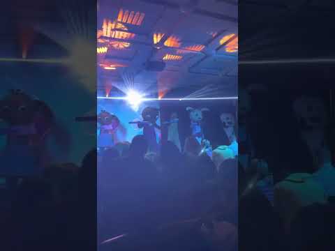 Bing nyuszi show live – Fogmosó tánc
