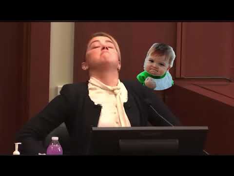 Amber heard and her lawyers being stupid for 2 and a half minutes