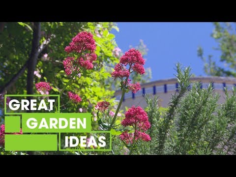 The Water Tank Home and Garden | Gardening | Great Home Ideas