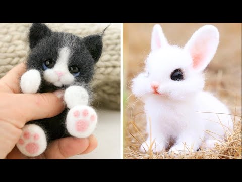 Aranyos baba állatok videók összeállítása | Az állatok vicces és aranyos pillanata #9 – Legaranyosabb állatok 2023