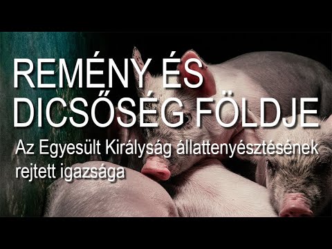 Remény és Dicsőség Földje - 2017 (dokumentumfilm, magyar felirattal)
