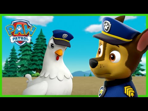 Chase és Tyúkica testet cserél - Mancs Őrjárat - PAW Patrol epizód Magyar rajzfilmek gyerekeknek
