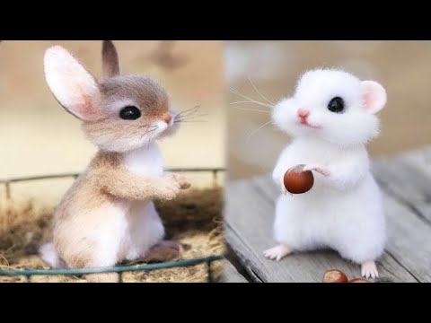 Aranyos baba állatok videók összeállítása | Az állatok vicces és aranyos pillanata 2. – Legaranyosabb állatok 2023