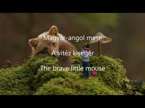 Magyar-angol mese: A vitéz kisegér / The brave little mouse