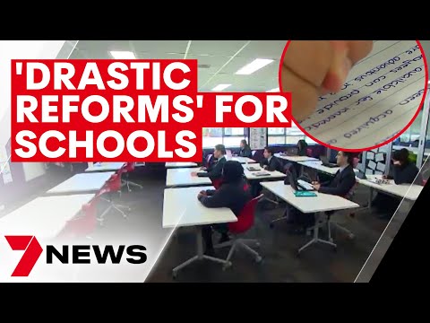 Drastic reforms needed for Australian schools following plummeting academic standards | 7NEWS