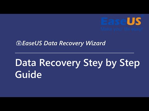 Data Recovery Step by Step Guide