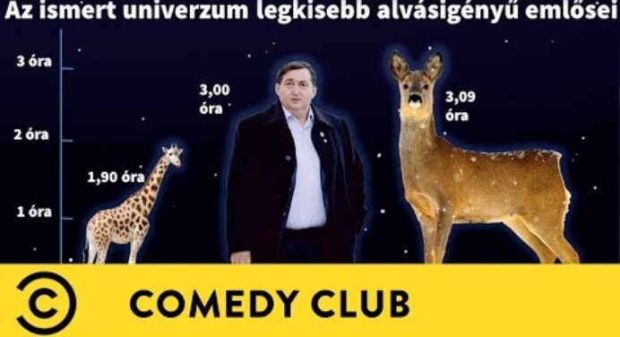 Mészáros Lőrinc vs. Mark Zuckerberg | Dumaaktuál | Comedy Club