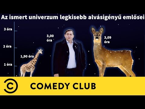 Mészáros Lőrinc vs. Mark Zuckerberg | Dumaaktuál | Comedy Club