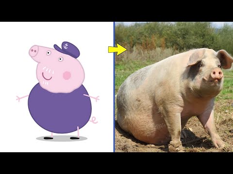 How Peppa Pig Characters Looks In Real Life  🐷