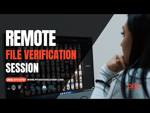 Remote File Verification Session by PITS Global Data Recovery Services