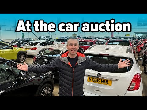 How a used car dealer buys at auction | The AI Car Dealership Project | Episode 5