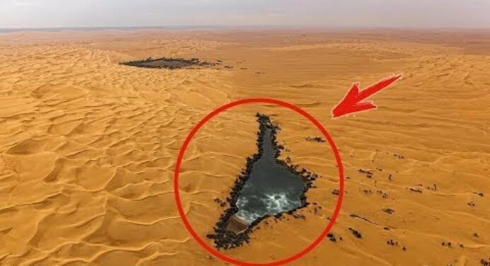 Mi rejtőzik a Szahara homokja alatt? Hihetetlen tények a sivatagról