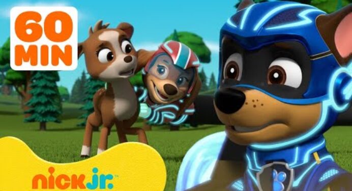 PAW Patrol Mighty Pups Ultimate Animal Rescues! w/ Chase & Liberty | 1 Hour Compilation | Nick Jr.