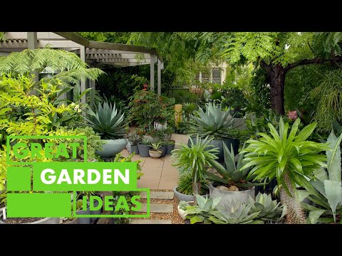 Container gardening 101 | GARDEN | Great Home Ideas
