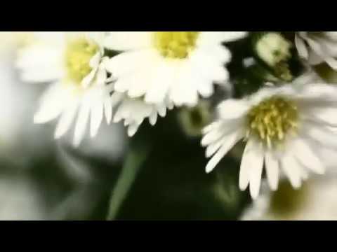 Short film about life (magyar felirattal)