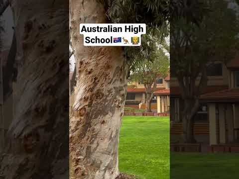 Australian High School Campus🇦🇺 #Australia #school #studyinaustralia #schoollife