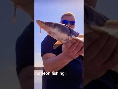 Wow!🤩 Irány horgászni! #horgászat #humor #vicces