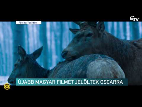 Újabb magyar filmet jelöltek Oscarra – Erdélyi Magyar Televízió