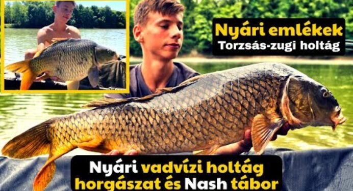 Vadvízi horgászat nyáron a Torzsás-zugi holtágon és Nash tábor | Bojlis horgászat 8.rész