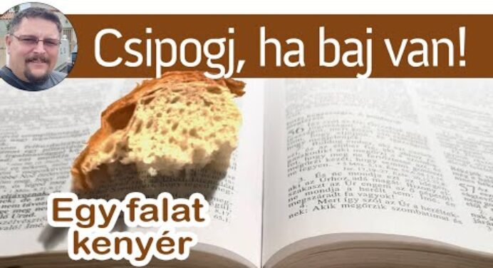 Csipogj, ha baj van - Egy falat kenyér sorozat - Gégény Csaba #shorts (Zsoltárok 91:4)