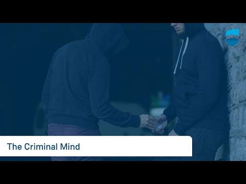 Online Education - The Criminal Mind