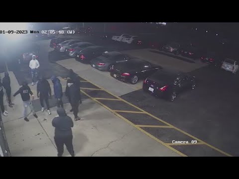 Video shows masked group break into Roselle car dealership